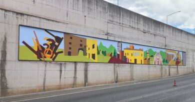 Frosinone, completato il murale ‘antismog’ sulla Monti Lepini