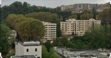 Frosinone, Legambiente: la Regione stanzia fondi per gli alberi monumentali ma l’Alberata non può usufruirne