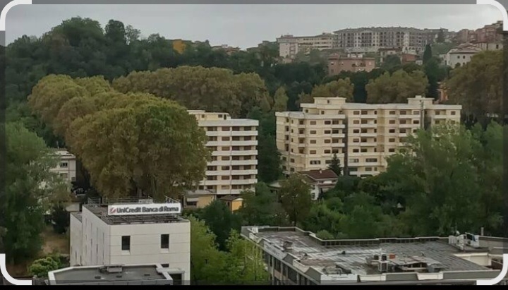 Frosinone, Legambiente: la Regione stanzia fondi per gli alberi monumentali ma l’Alberata non può usufruirne