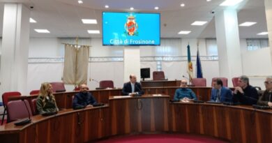 Frosinone, studio scientifico sull’Alberata storica di viale Roma: il Comune affida l’analisi al Politecnico di Milano