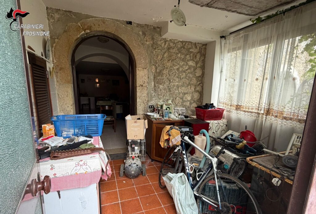 Territorio al setaccio tra arresti, denunce e segnalazioni. Trovate anche refurtiva e munizioni