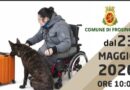 Frosinone, al via il corso gratuito per conduttori cinofili con disabilità motoria  