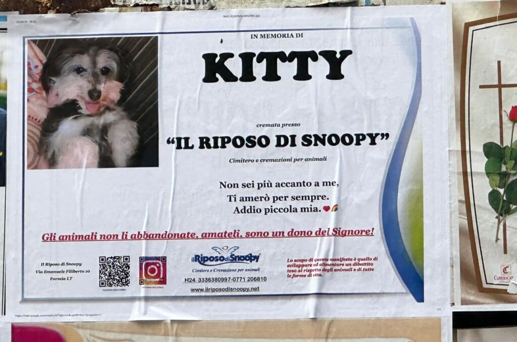 Frosinone – Il manifestino funebre della cagnolina Kitty