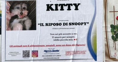 Frosinone – Il manifestino funebre della cagnolina Kitty